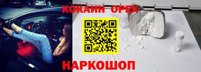амф Гатчина