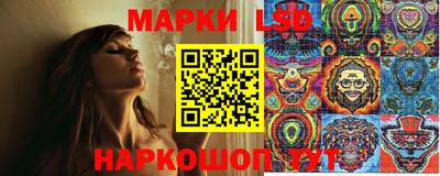 амф Гатчина