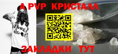 амф Гатчина