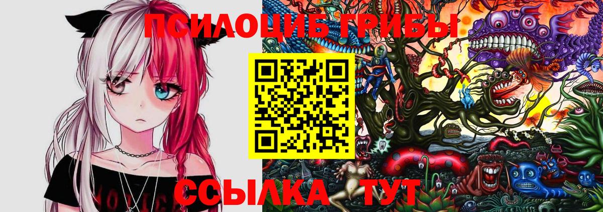 Назрань  Галлюциногенные грибы мицелий  Галлюциногенные грибы Cubensis  Вход с VPN 