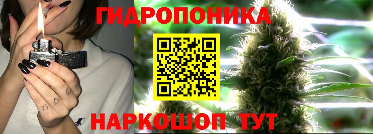 Каннабис MAZAR  Вход с VPN  МАРИХУАНА ГИДРОПОН  Назрань 